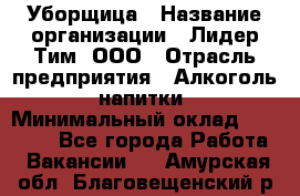 Уборщица › Название организации ­ Лидер Тим, ООО › Отрасль предприятия ­ Алкоголь, напитки › Минимальный оклад ­ 27 300 - Все города Работа » Вакансии   . Амурская обл.,Благовещенский р-н